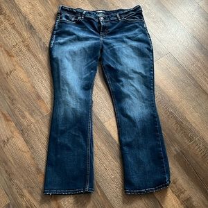 Women’s Silver Jeans